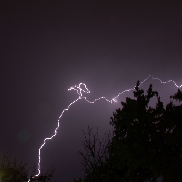 Meet your Posher, Bob - Picture 1 of 1